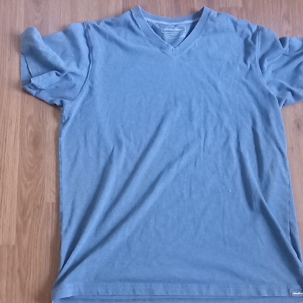 Blue Short Sleeve V-Neck Tee